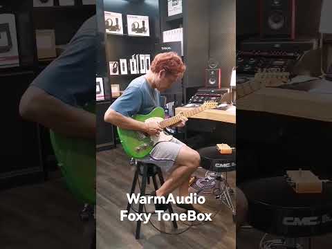 Warm​Audio​ Foxy​ToneBox #warmaudio #kimlengaudio #FoxyToneBox