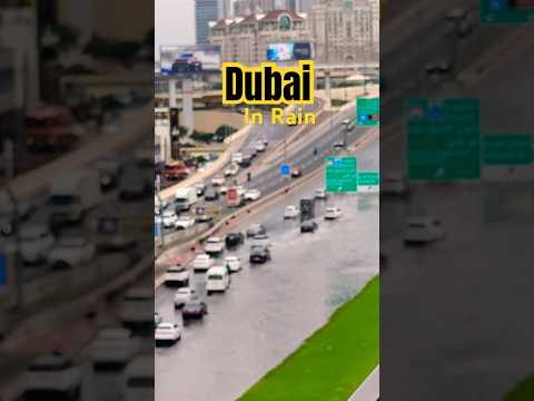 When it Rains in Dubai 😱 #dubairain #shorts