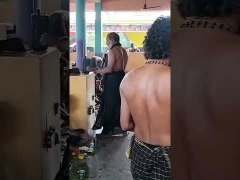 Annadhana Prabhuve Saranam Ayyappa @sathupally #ayyappa  #sabarimalai #manikandan #annadanam