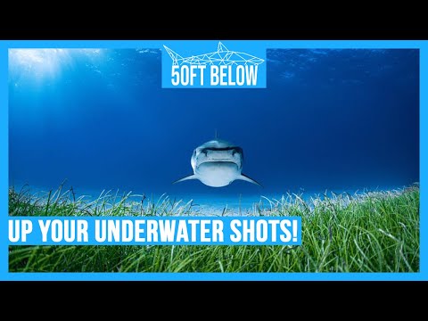 3 Underwater Photography Tips | Make Better Underwater Photos
