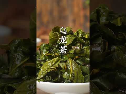 找茶 / 不同季節喝什麼茶