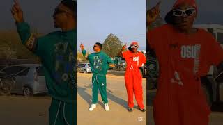 ujinga wako mesha new song