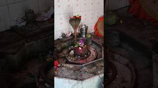 Devo K Dev Mahadev 🙏🙏 #jaysvlog #ytshorts #viral #shortsvideo