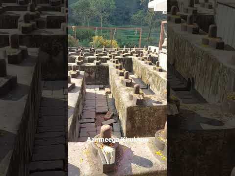 108 shivalingam Doleshwar Mahadev, Nepal #shorts #youtubeshorts #ytshorts #tamil #shortsfeed #viral