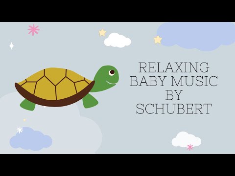 Schubert Relaxing Baby Music to Sleep | Lullaby for Babies to go to Sleep Quickly | Sleep Music Kids