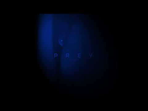 LIBERTO, TARA - PREY (slowed)