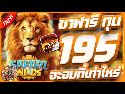 สล็อตpg สล็อตเว็บตรง สล็อตวอเลท สล็อตแตกดี | safari wild  + ทุน 195