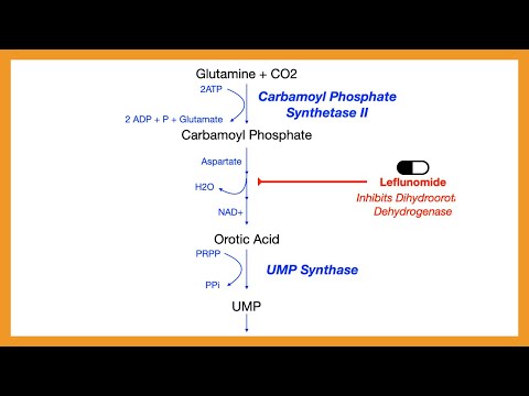 Pyrimidine Synthesis