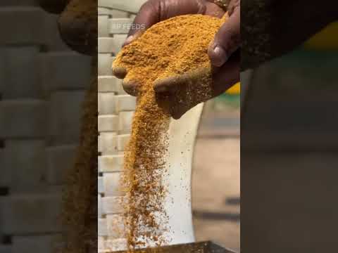 எவை சிறந்தது - மக்கா சோள மாவு அல்லது மக்கா சோள புண்ணாக்கு?