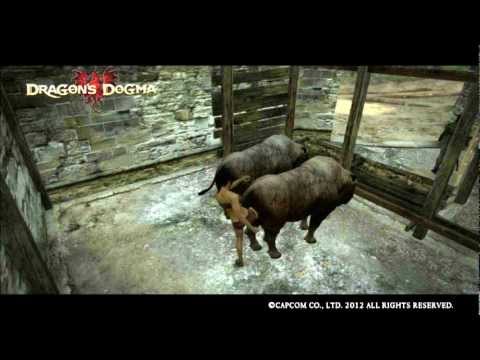 Dragons Dogma OST(37) Princess Rendevous Theme