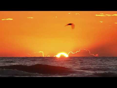 20 minute Guided Abundance Meditation for Attracting Money, Wealth and Prosperity [Manifestation]