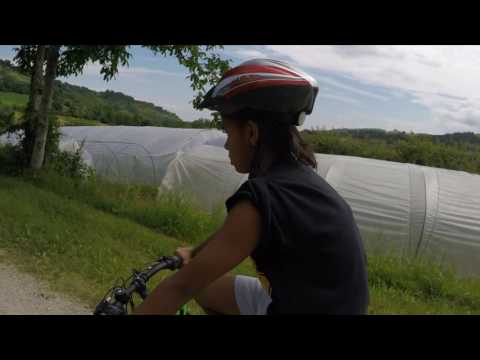 MTB ride near Calderino