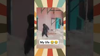 My life 😂😂😂😂😂😂😂 #funny #comedy #tamilfunnystatus #funnyvideo #funnyshorts