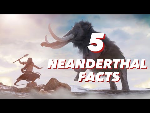 5 Fascinating Neanderthal Facts You Probably Will Not Know