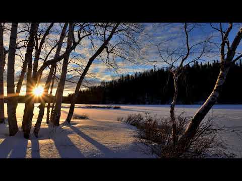 REDUCE STRESS and ANXIETY with this Beautiful Winter Sunrise Meditation - STRESS AND ANXIETY RELIEF
