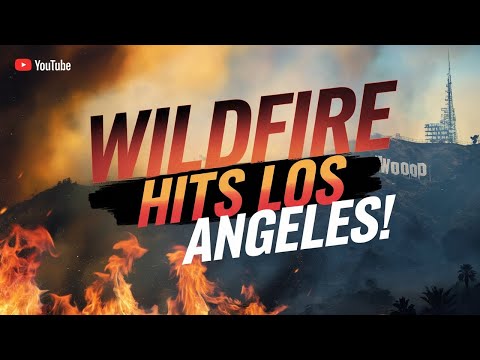 Los Angeles Wildfires: Stories of Resilience and Recovery | Avery Bliss