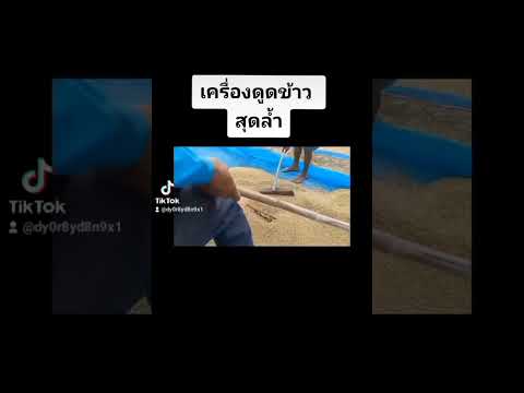 25 พฤศจิกายน ค.ศ. 2022