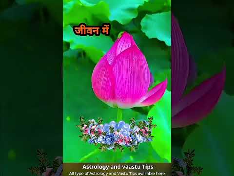 Motivational video by AstroVastu Gyaan #shortvideo #astrologyyoutubeshorts #shortsfeed