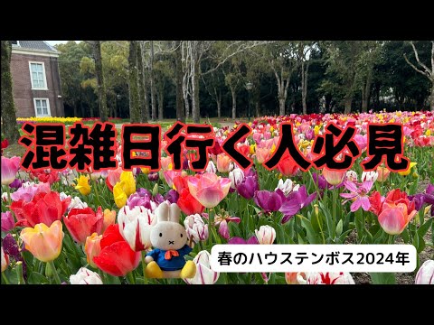 【春旅2024】大混雑日こんな感じ。花火大会、チューリップ祭、ミッフィーセレブレーション