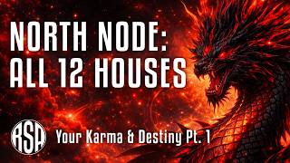 North Node: All 12 Houses  I  Your Karma & Destiny Pt. 1