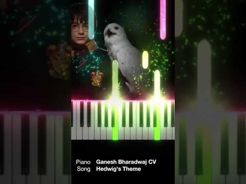 Harry Potter's Hedwig's Theme | Youtube #Shorts