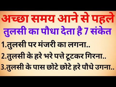 जीवन में खुशियां आने से पहले तुलसी का पौधा देता हैं ये 7 संकेत | Vastu tips| @Rangila_Baba_001