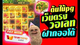 เว็บตรงวอเลท สล็อตวอเลทออโต้ เว็บตรงtruewallet สล็อตwallet ฝากถอนวอเลท🔥