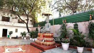 The Cambodian Buddhist Monastery, Chhatarpur with a Buddha statue