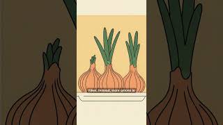 Stop Refrigerating Onions!