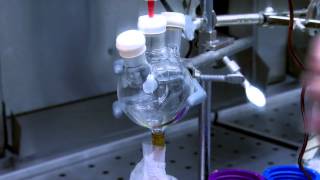 Building a heart- Stem Cell Science