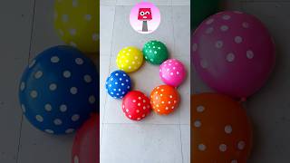 Color Dot Balloon Pop Challenge! 🎈😱 | Find the Hidden Surprise Inside #satisfying #balloonpopping