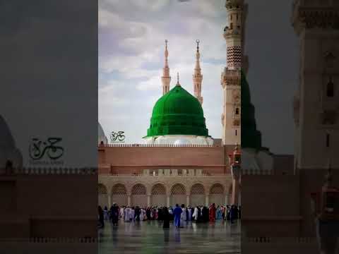 Jashn e Amad e Rasool - Farhan Ali Qadri #islam #freepalestine #shorts #youtubeshorts #shortvideo