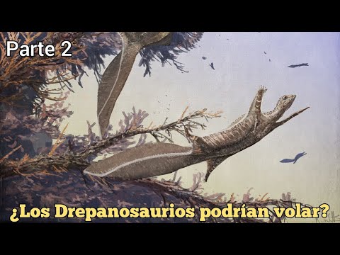 ¿Los Drepanosaurios podrían volar? (Parte 2)