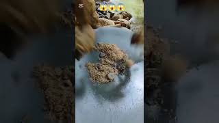 #mining #gold #goldbusiness #goldindustry #satisfying #unfrez #love #goldmining 😱😱😱😱😱