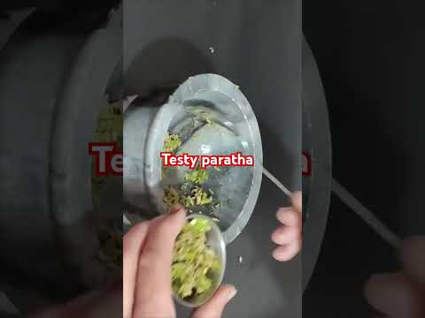 testy gobhi paratha #jayshrreram #gharkakhana #subah ka nasta #youtubeshorts #trendingshorts #viral