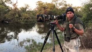 Tips for low light bird photography