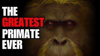 The Story Of Gigantopithecus Blacki