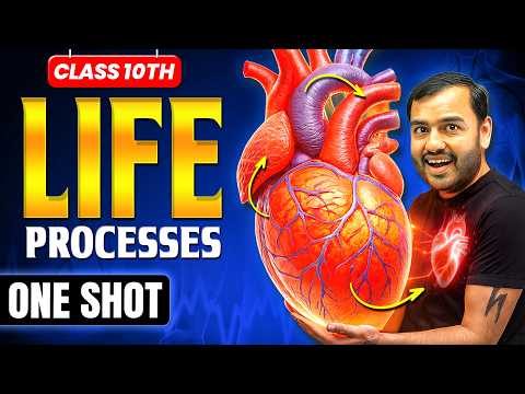 Life Processes Class 10 || Complete CHAPTER IN ONE SHOT || NCERT Covered || Alakh Pandey