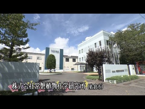 ちばで発見！魅力いっぱいの職業【職業編】研究（株式会社常盤植物化学研究所）