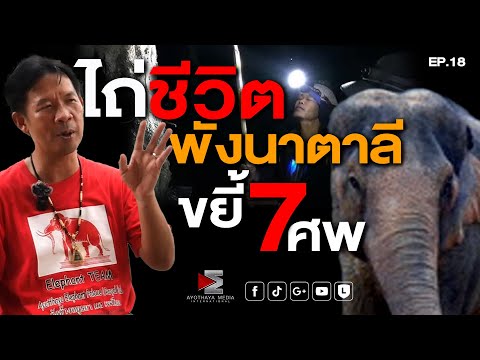 ไถ่ชีวิต...พังนาตาลีขยี้7ศพ!  คืนพุธสุดหลอน EP18 #เรื่องเล่า