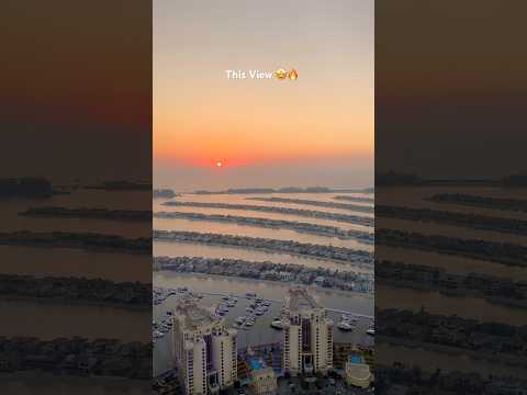 The View at Palm! #palmjumeira #dubai #shorts