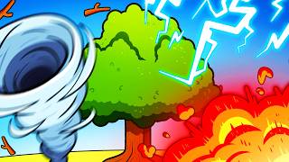 I Did Unreasonable Things To Trees