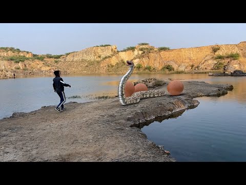 Big Anaconda Snake atteck in real life 7