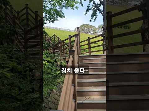 잠시 쉬어갈게~숲?숲튽?#힐링 #브이로그 #여행