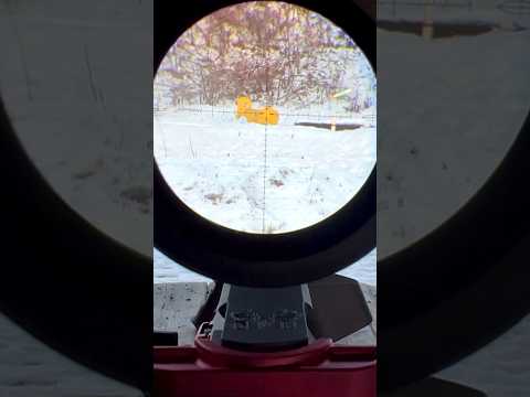 Arken EP5 5-25x56 6.5 Grendel 200 yards