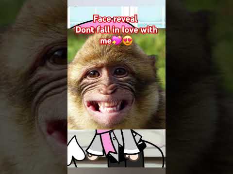 No hate pls #idkqhattopost