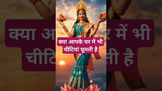 क्या आपके घर में भी चीटियां घूमती है।🙏🏻🕉️ | Astrology Sutras |#astrology #jyotish #rashifal