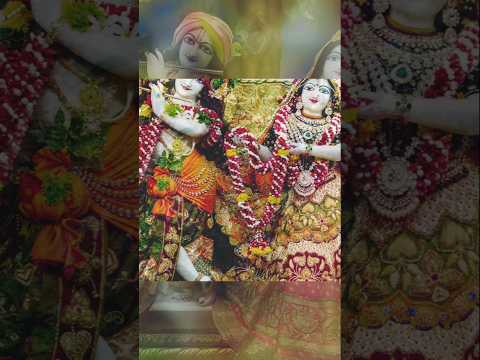 Bhajman Radhe Radhe #shorts  #radheradhe