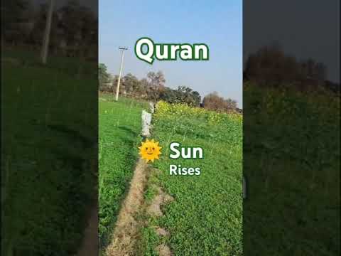 Quran pak🤲#viralvlog #shorts   ##Quran pak