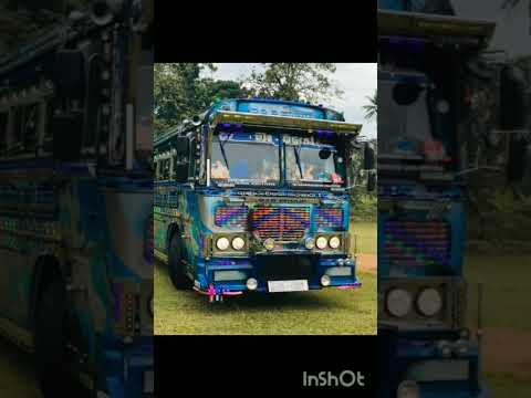 ගාල්ලේ සැප එක  කණාමැදිරියෝ  @LNRBUSKINGDOM-dl9ql